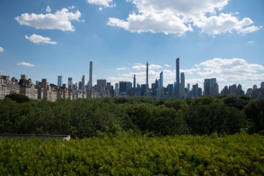 Met'in çatısından Central Park manzarası