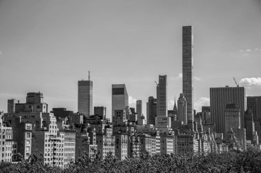 Met'in çatısından Central Park manzarası