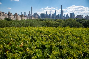 Met'in çatısından Central Park manzarası