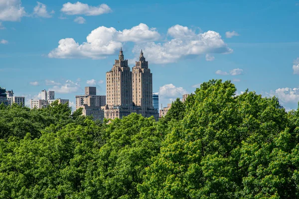 Views of Central Park from the roof top of the MET — Stock Photo, Image