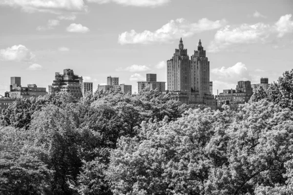 Vista do Central Park a partir do topo do telhado do MET — Fotografia de Stock
