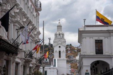 Quito Katedrali 'ne doğru yürüyorum