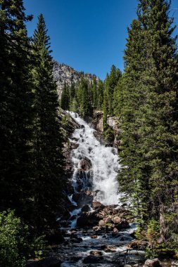 Jenny Lake 'den Şelale
