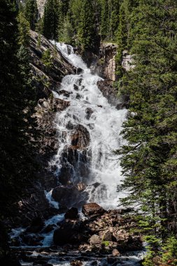 Jenny Lake 'den Şelale