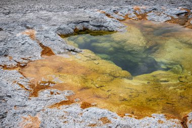 Yellowstone National 'ın eski sadık bölgesinde jeotermal özellikler 