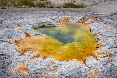 Yellowstone National 'ın eski sadık bölgesinde jeotermal özellikler 