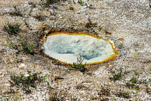 Геотермальна особливість західного великого пальця в Єллоустонському національному парку (У. — стокове фото