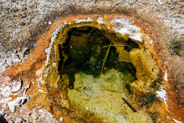 Геотермальна особливість західного великого пальця в Єллоустонському національному парку (У. — стокове фото