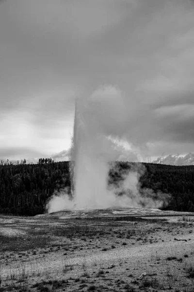 Iconico geyser a Yellowstone, il vecchio Faitful — Foto Stock