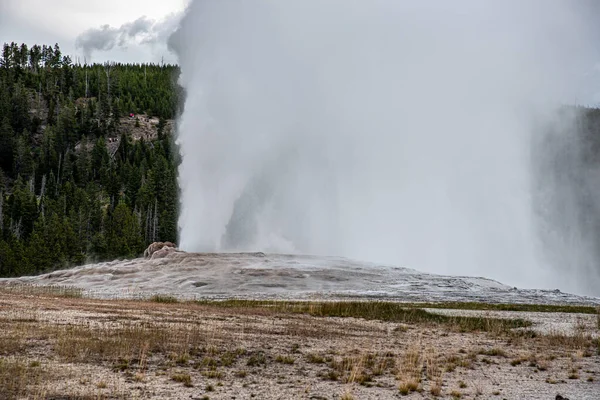 Ikonikus gejzír Yellowstone, a régi Faitful — Stock Fotó