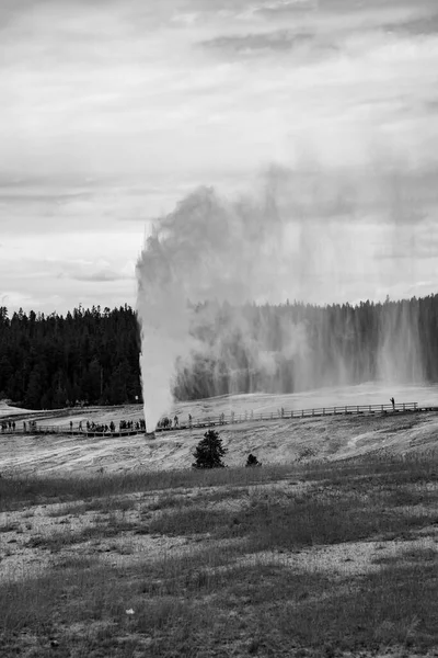 Geothermal feature at old faithful area at Yellowstone National — Stock Photo, Image