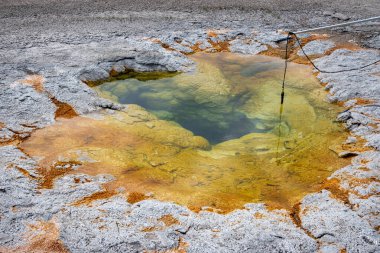 Yellowstone National 'ın eski sadık bölgesinde jeotermal özellikler 