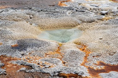 Yellowstone National 'ın eski sadık bölgesinde jeotermal özellikler 