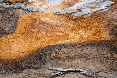 Yellowstone National 'ın eski sadık bölgesinde jeotermal özellikler 