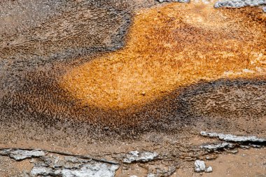 Yellowstone National 'ın eski sadık bölgesinde jeotermal özellikler 