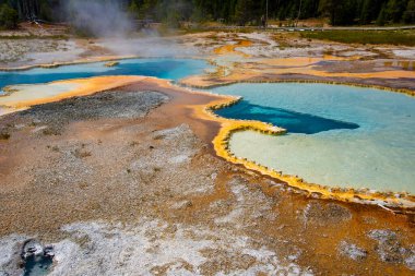 Yellowstone National 'ın eski sadık bölgesinde jeotermal özellikler 
