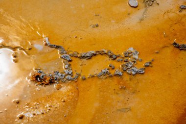 Yellowstone National 'ın eski sadık bölgesinde jeotermal özellikler 