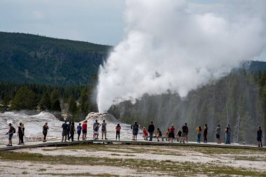 Yellowstone National 'ın eski sadık bölgesinde jeotermal özellikler 
