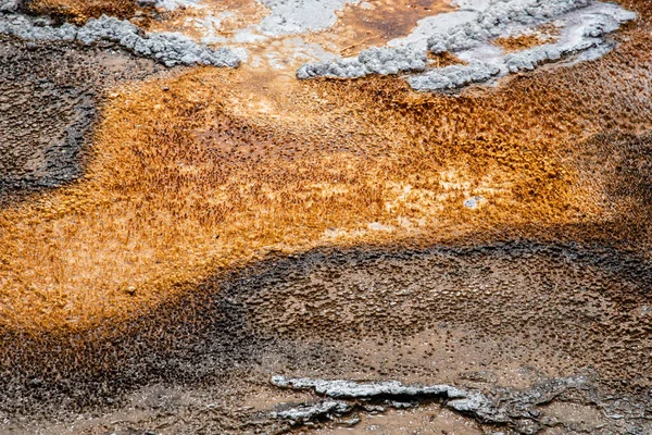 Geothermal feature at old faithful area at Yellowstone National — Stock Photo, Image