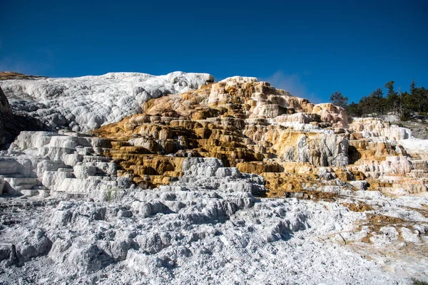 Terrazas Minerva con sus depósitos de travertino —  Fotos de Stock