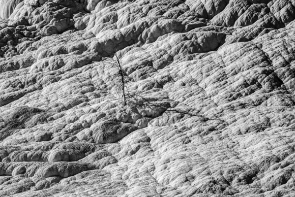 Terrazas Minerva con sus depósitos de travertino — Foto de Stock