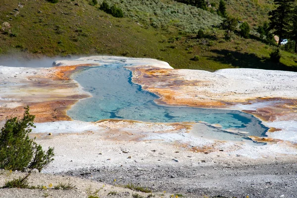 Caractéristique géothermique à la source thermale mammouth à Yellowstone Nat — Photo