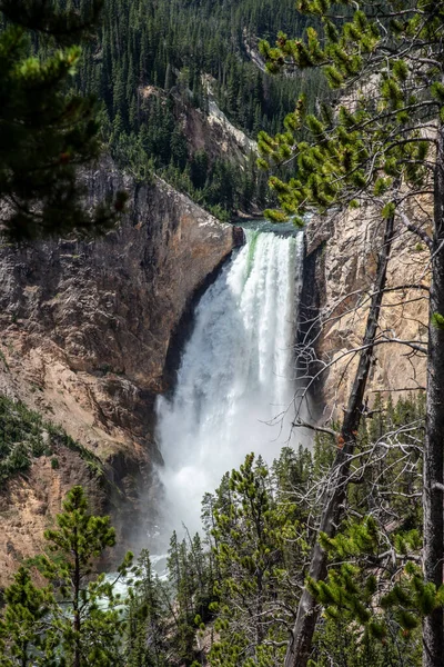Baja caída en el Gran Cañón de Yellowstone — Foto de Stock