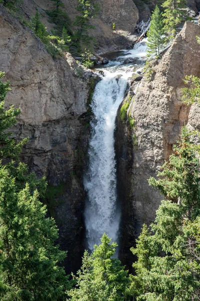 Cascada en el bosque — Foto de Stock