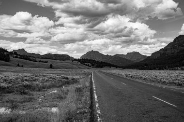 Lamar Valley Yellowstone Milli Parkı'nda