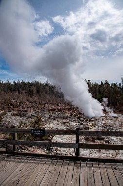 Yellowstone Na 'daki Norris gayzer havzasında jeotermal özellik