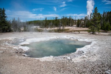 Yellowstone Nationa 'daki Norris gayzer havzasında jeotermal özellik
