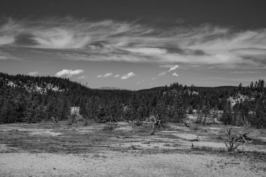 Yellowstone Ulusal Par 'daki Norris gayzer havzasının panoraması