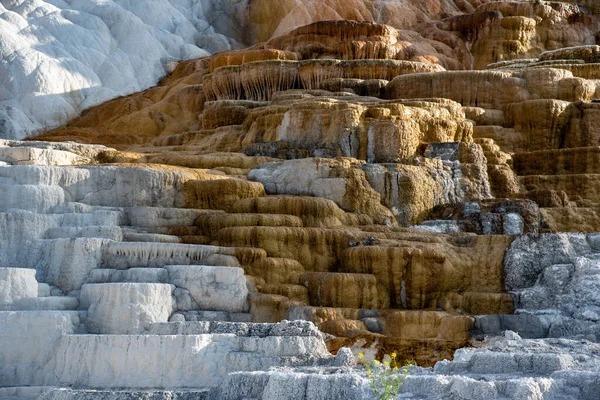 Terrazas Minerva con sus depósitos de travertino —  Fotos de Stock