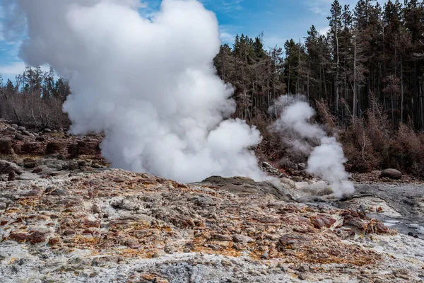 Geotermikus jellemzők a Norris geyser medence területén Yellowstone Na-nál — Stock Fotó