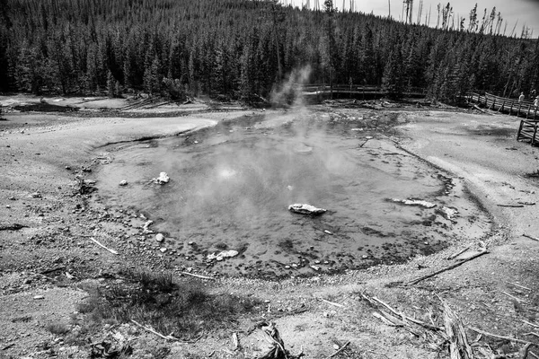 Característica geotérmica en la cuenca de géiseres Norris en Yellowstone Nationa —  Fotos de Stock