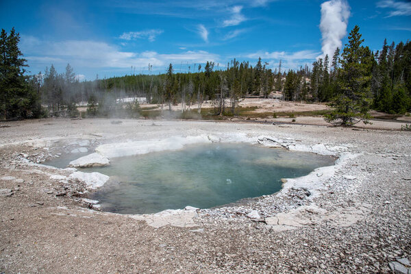 Geothermal feature at Norris geyser basin at Yellowstone Nationa