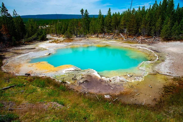 Característica geotérmica na bacia do geyser de Norris em Yellowstone Nationa Imagens Royalty-Free