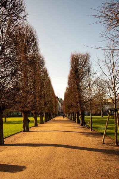 Jardín Real Corazón Copenhague — Foto de Stock