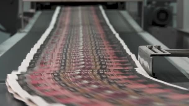 Journaux Imprimés Déplaçant Sur Convoyeur Grande Vitesse Dans Usine Impression — Video