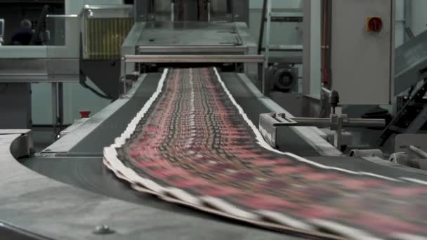 印刷工場の高速回転でコンベア上を移動する印刷新聞 — ストック動画