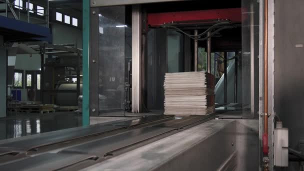 Imprimerie Sortant Journal Pour Inspection Pendant Production — Video