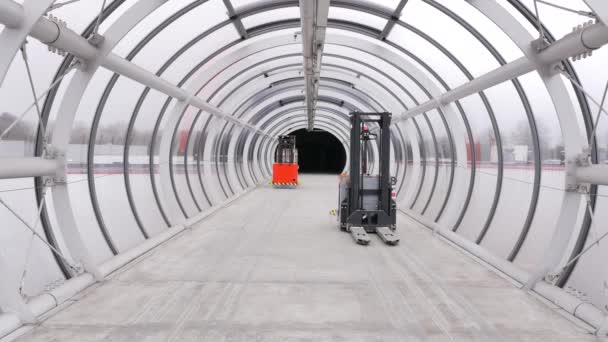 Nagranie Przemysłowej Linii Produkcyjnej Czerwonymi Automatycznymi Wózkami Widłowymi — Wideo stockowe