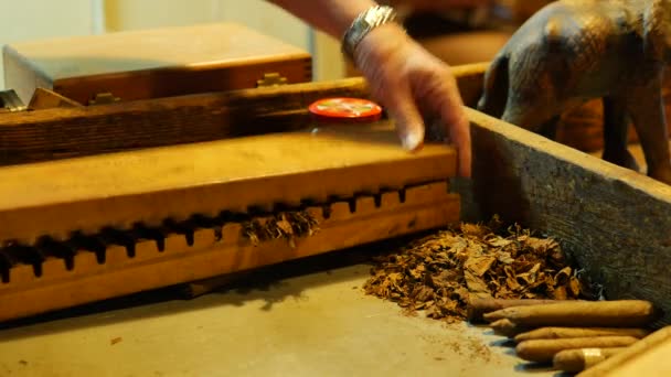 Primer Plano Fabricación Cigarros Cubanos — Vídeo de stock
