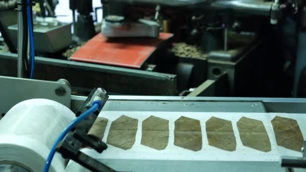 古巴雪茄制造业的特写镜头 — 图库视频影像