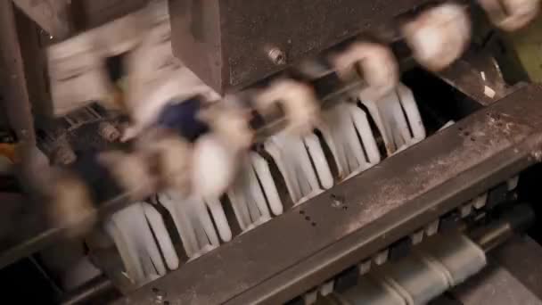 Nahaufnahme Einer Eierfabrik Auf Hühnerfarm — Stockvideo