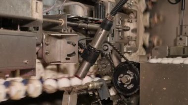 Tavuk çiftliğindeki yumurta taşıyıcısının yakın çekim görüntüleri.