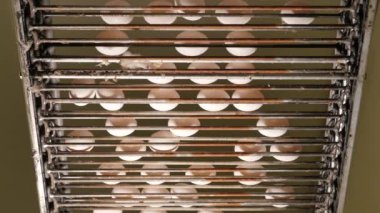 Tavuk çiftliğindeki yumurta taşıyıcısının yakın çekim görüntüleri.