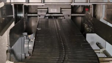 Tavuk çiftliğindeki yumurta fabrikasının yakın plan görüntüleri.
