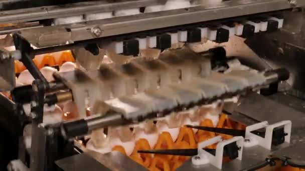 養鶏場の卵工場のクローズアップ映像です — ストック動画