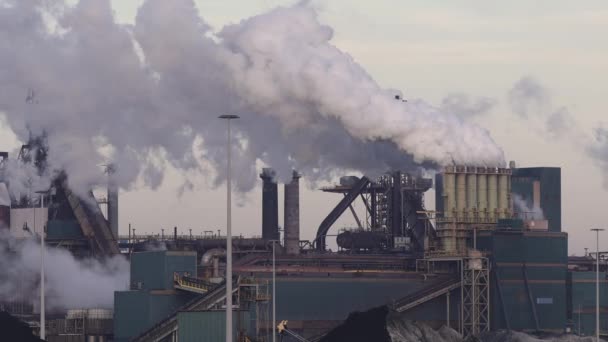 Factory Tata Stål Med Rygende Skorstene Solrig Aften Ijmuiden Holland – Stock-video